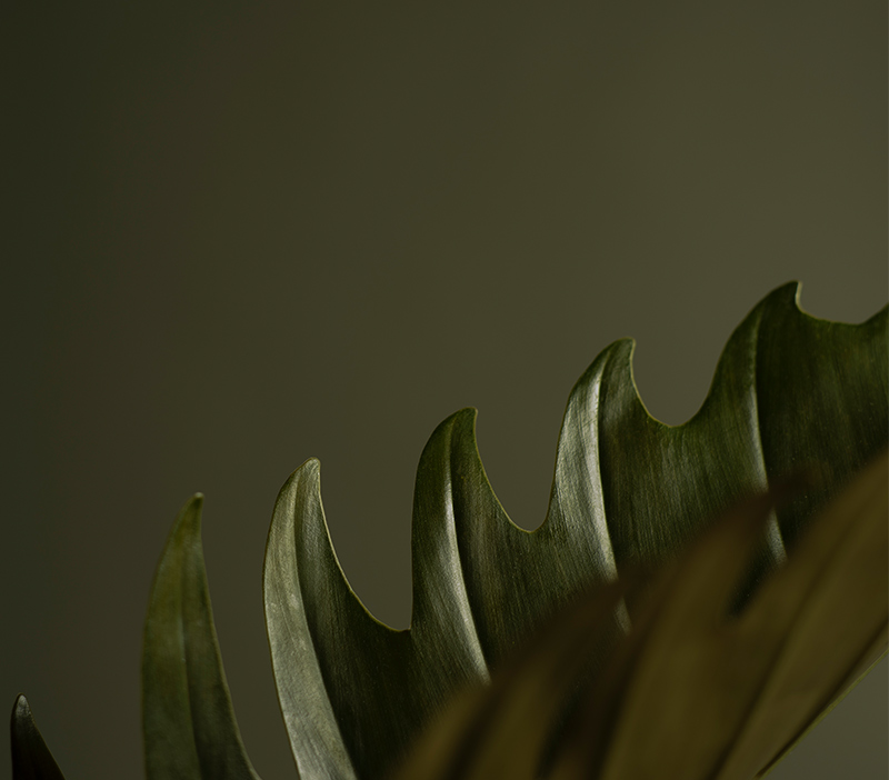 Sustainability - Read our ESG Report