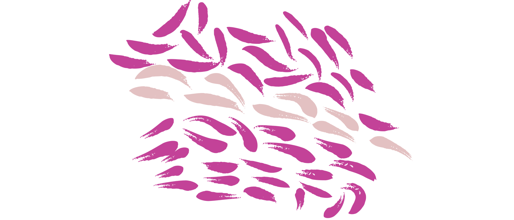 Reconciliation Action Plan