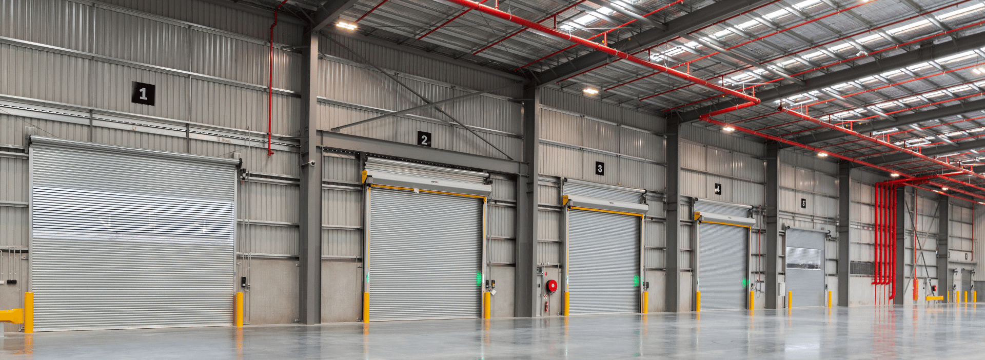 Probiotec, The YARDS