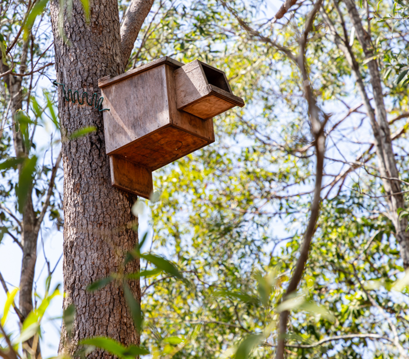 Yatala Central sustainability