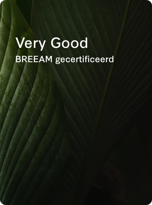 Rise teaser slider - 4